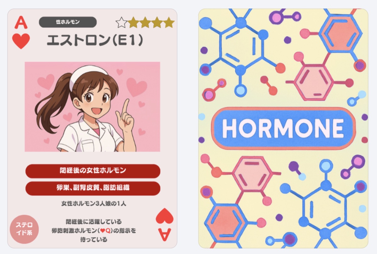 ホルモントランプ（仮称）カード見本：エストロン E1 の表面と HORMONE ロゴの裏面