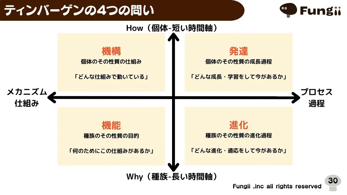講義スライド：ティンバーゲンの4つの問い