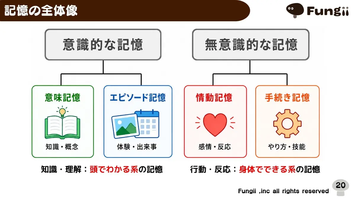 講義スライド：記憶の全体像